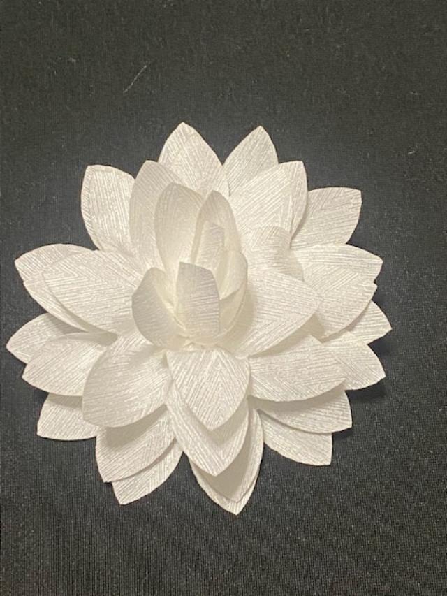 Blooming White Hair Clip